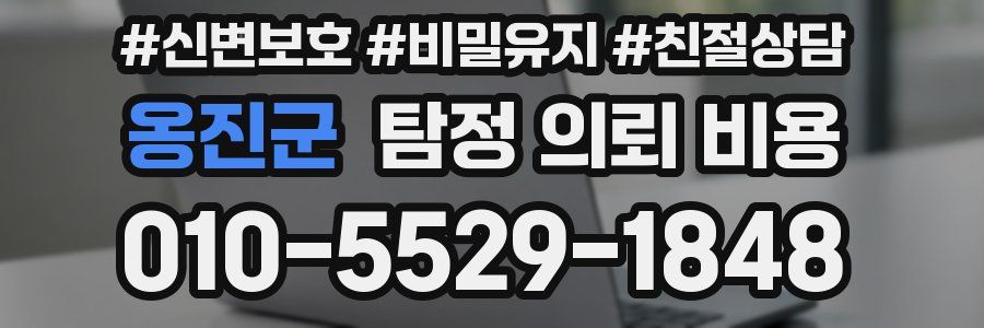 옹진군 탐정 의뢰 비용