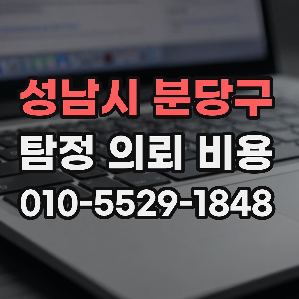성남시 분당구 탐정 의뢰 비용