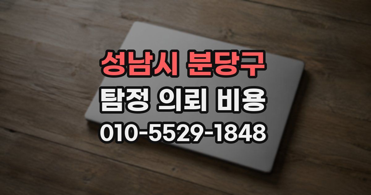 성남시 분당구 탐정 의뢰 비용