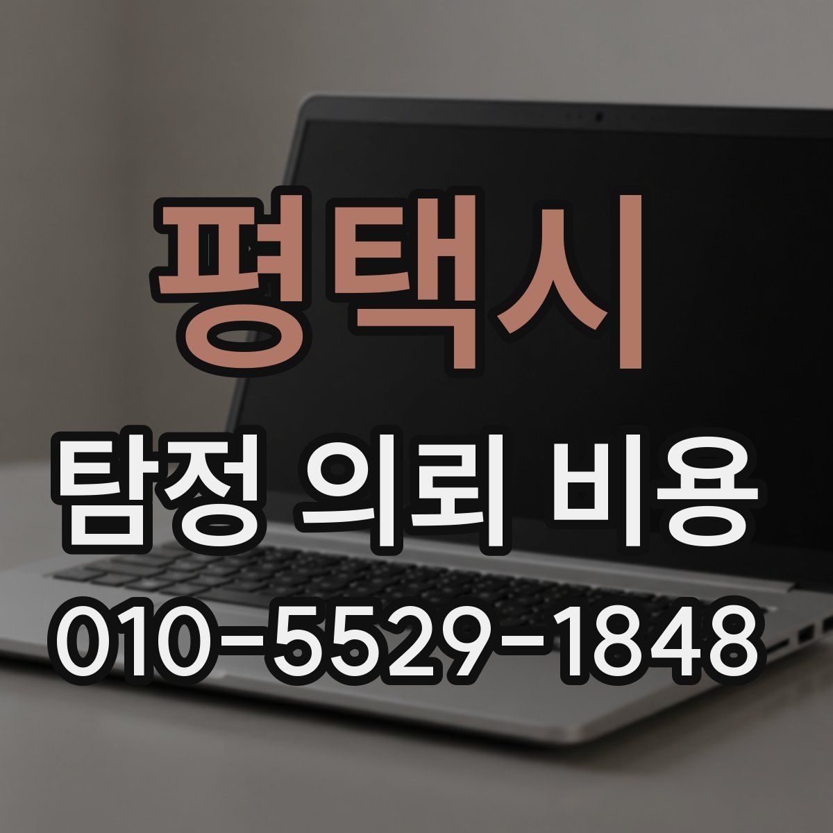 평택시 탐정 의뢰 비용