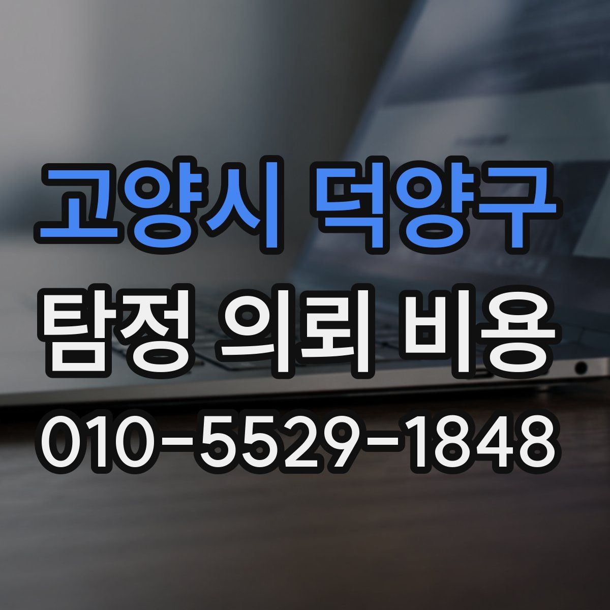고양시 덕양구 탐정 의뢰 비용