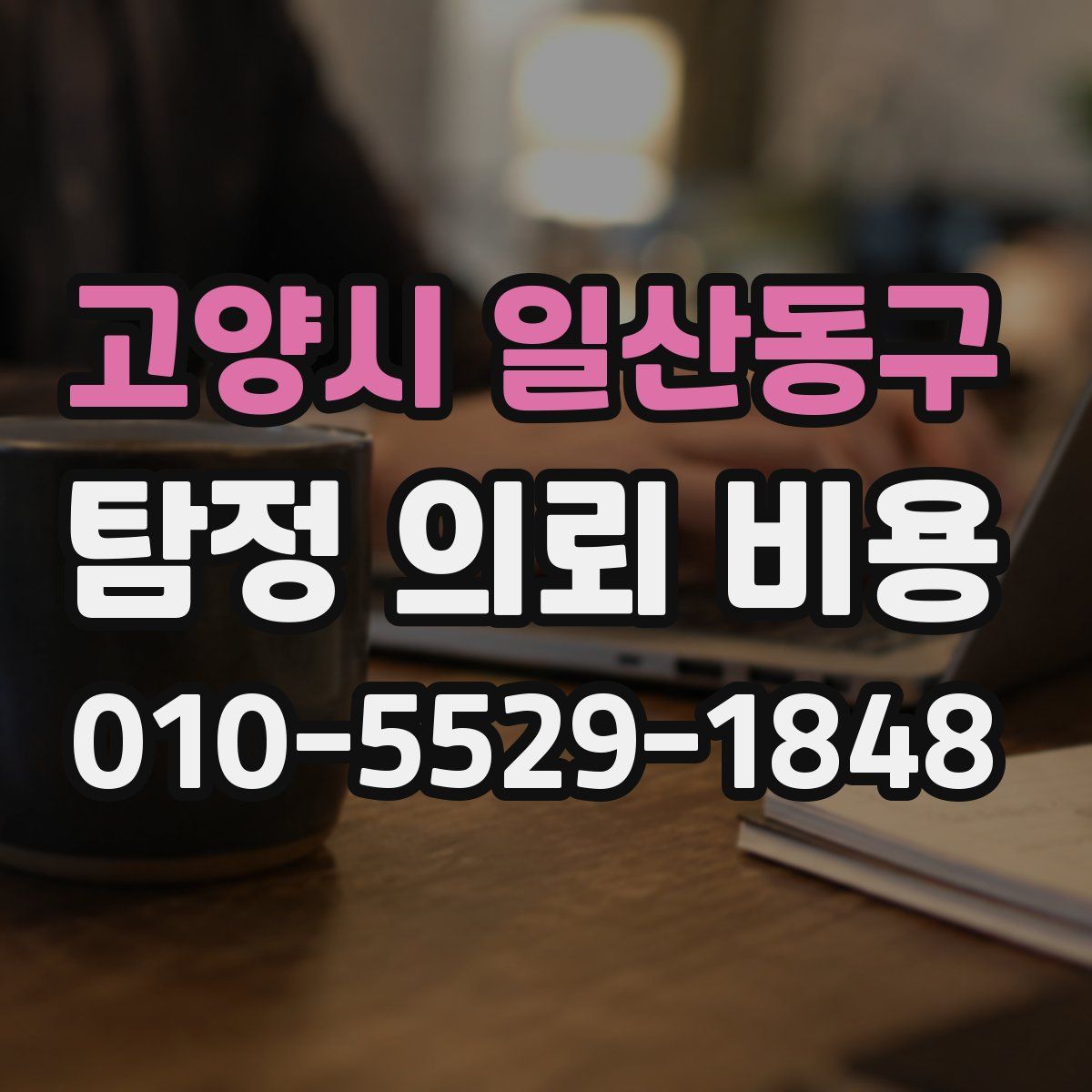고양시 일산동구 탐정 의뢰 비용