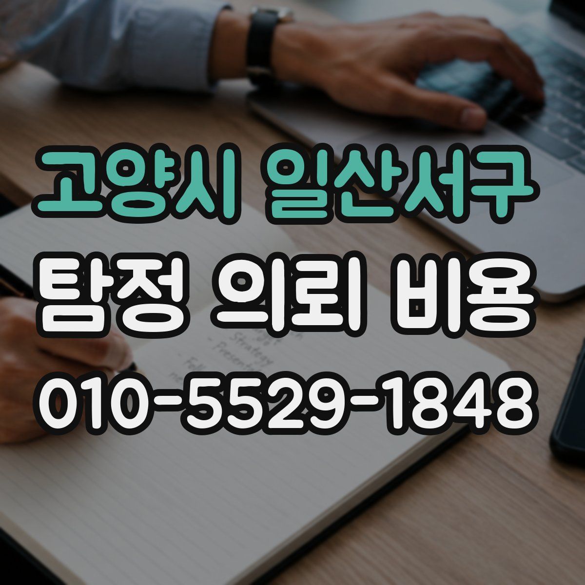 고양시 일산서구 탐정 의뢰 비용