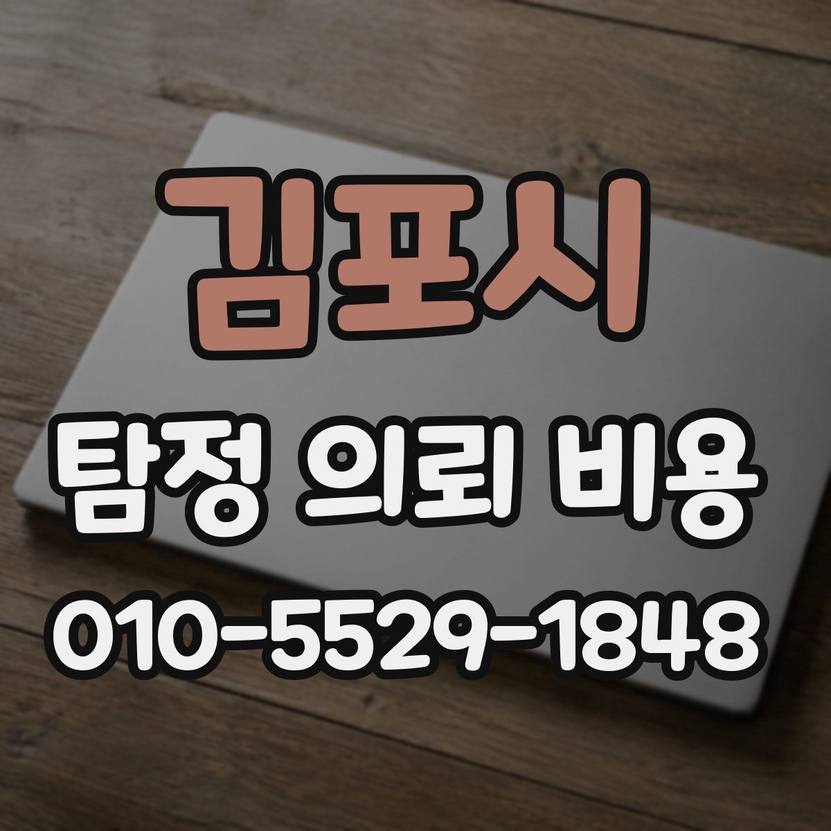 김포시 탐정 의뢰 비용