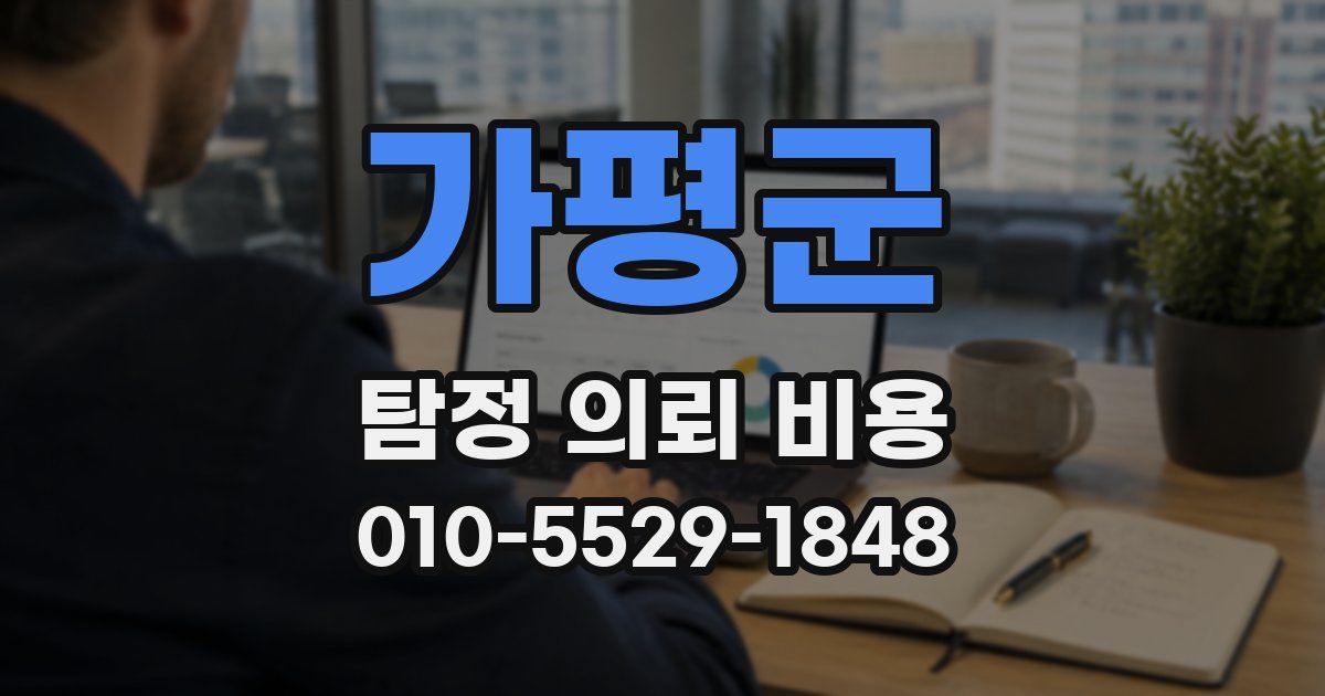 가평군 탐정 의뢰 비용