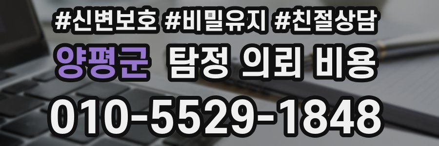 양평군 탐정 의뢰 비용