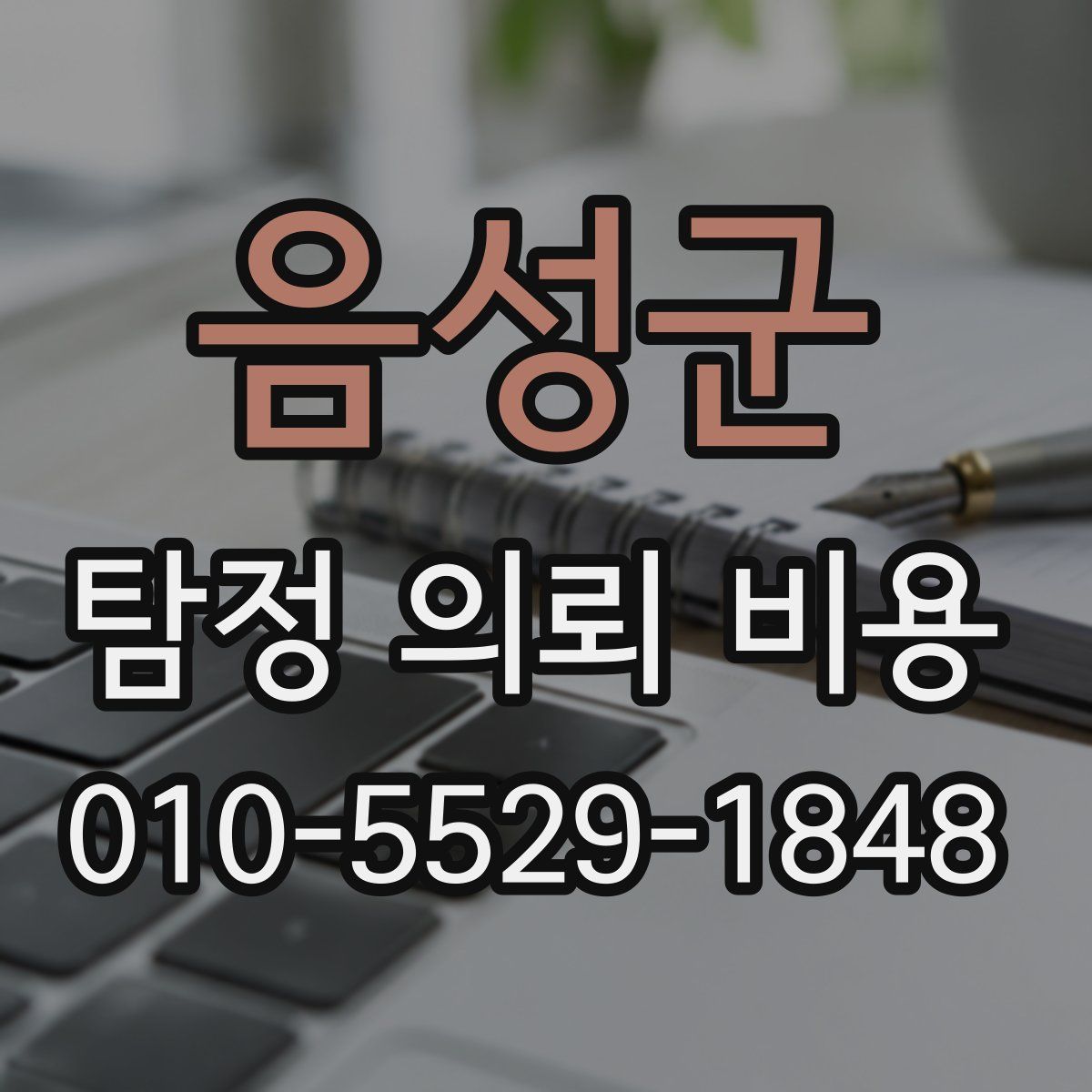 음성군 탐정 의뢰 비용