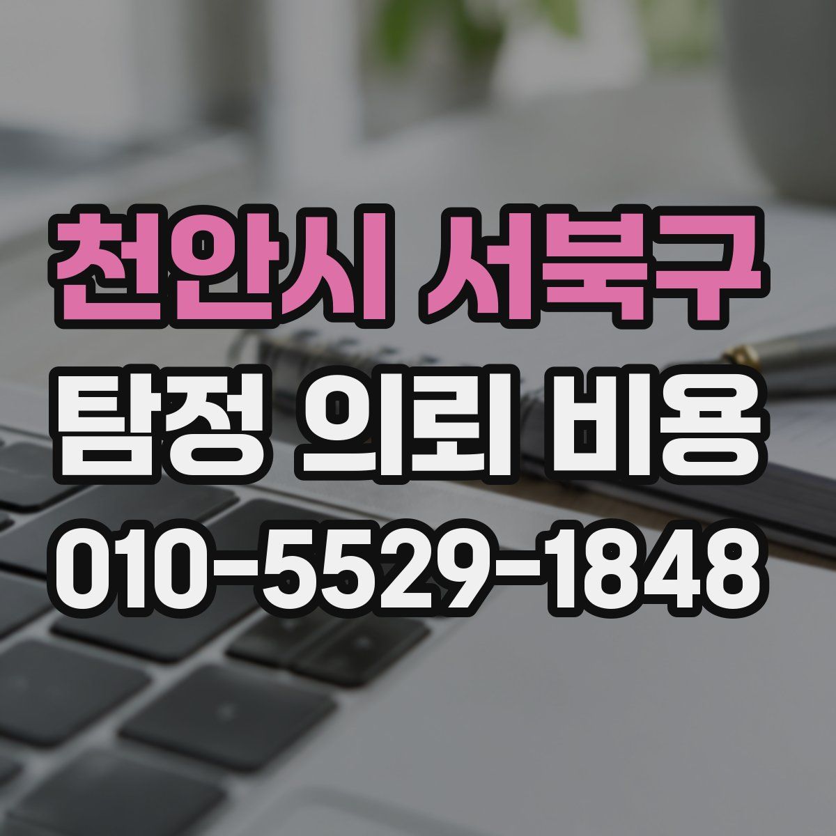 천안시 서북구 탐정 의뢰 비용