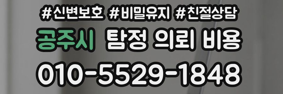공주시 탐정 의뢰 비용