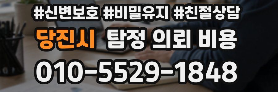 당진시 탐정 의뢰 비용