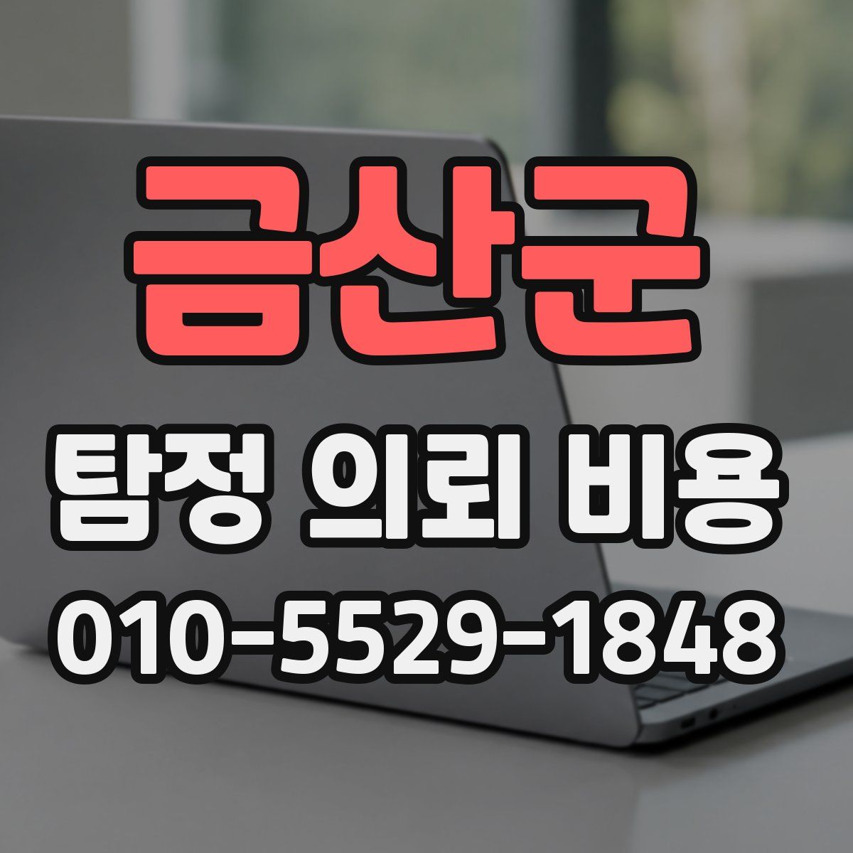 금산군 탐정 의뢰 비용