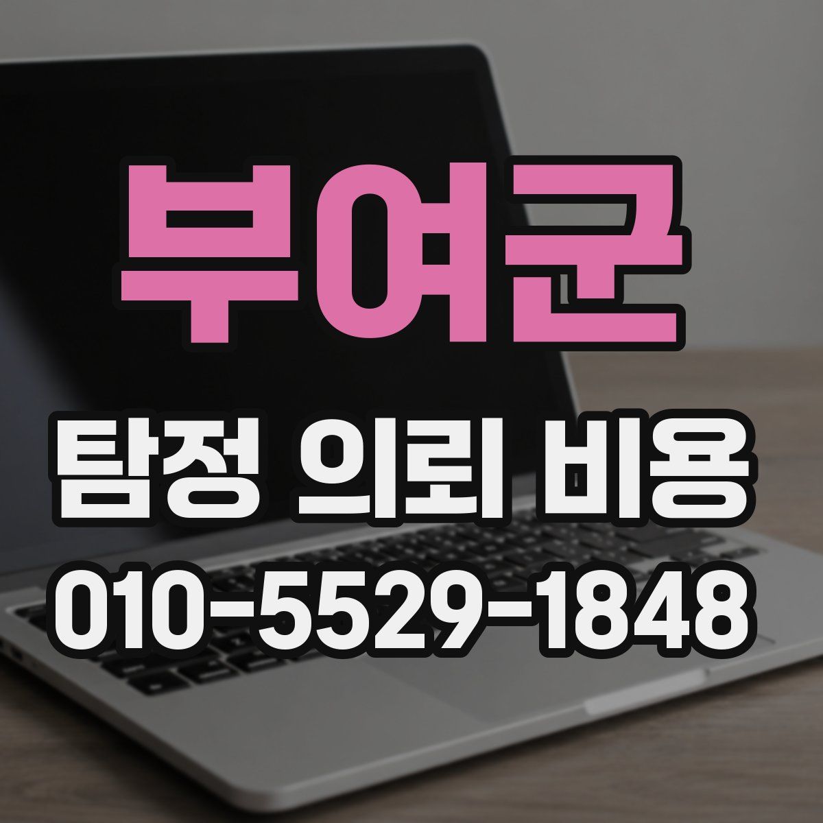 부여군 탐정 의뢰 비용