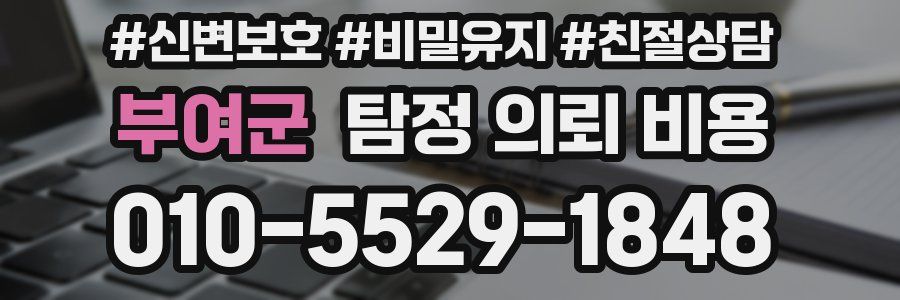 부여군 탐정 의뢰 비용