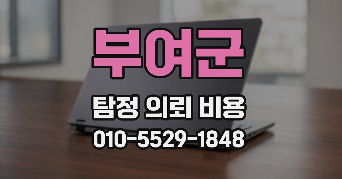 부여군 탐정 의뢰 비용