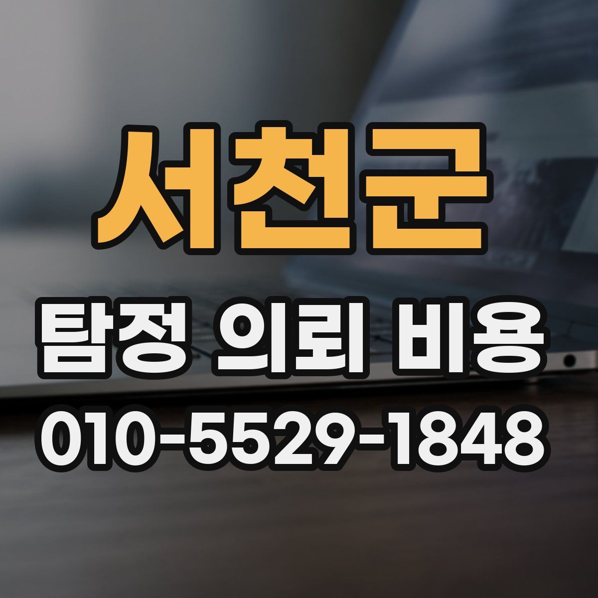 서천군 탐정 의뢰 비용