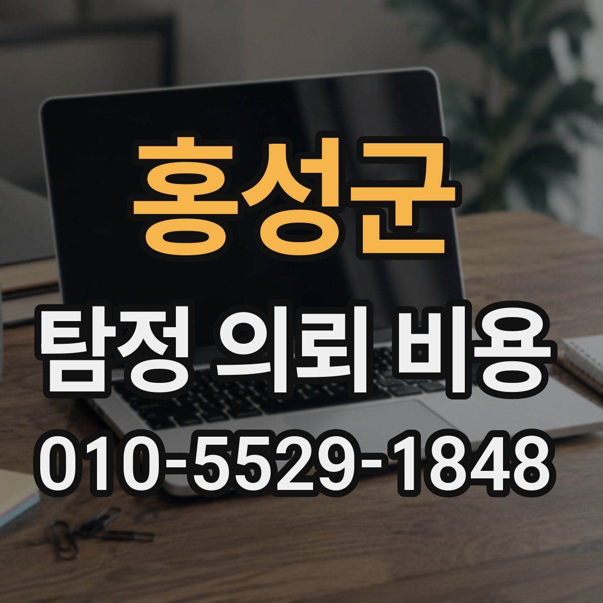 홍성군 탐정 의뢰 비용