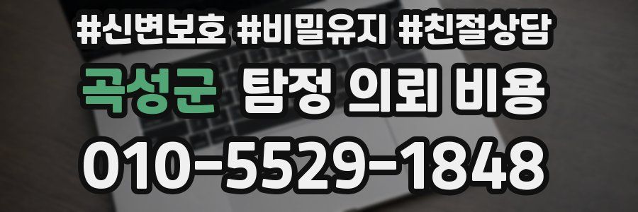 곡성군 탐정 의뢰 비용