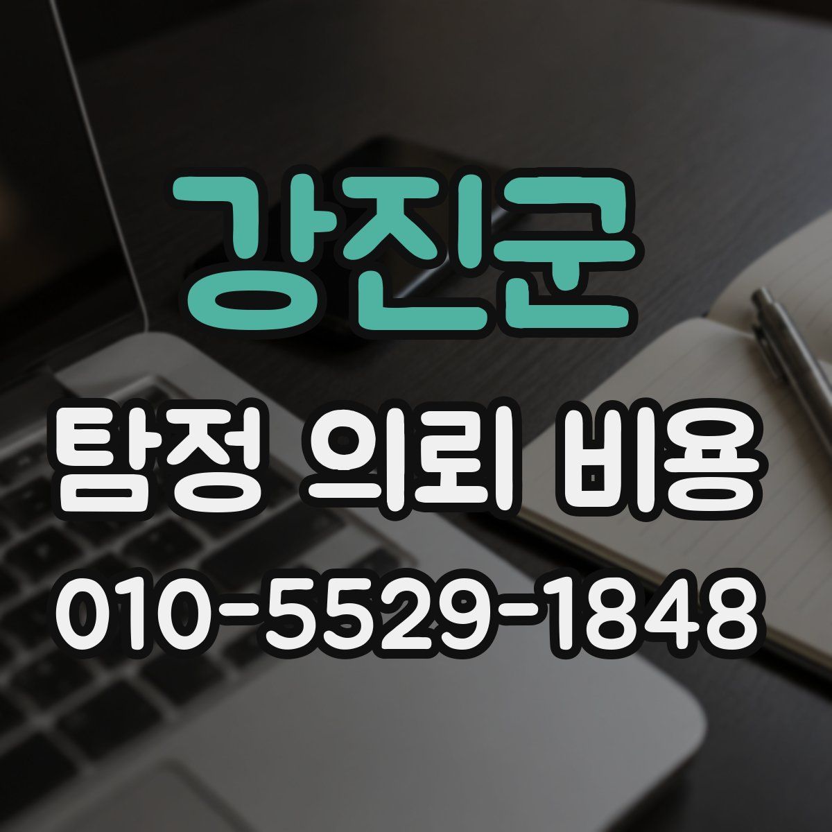 강진군 탐정 의뢰 비용