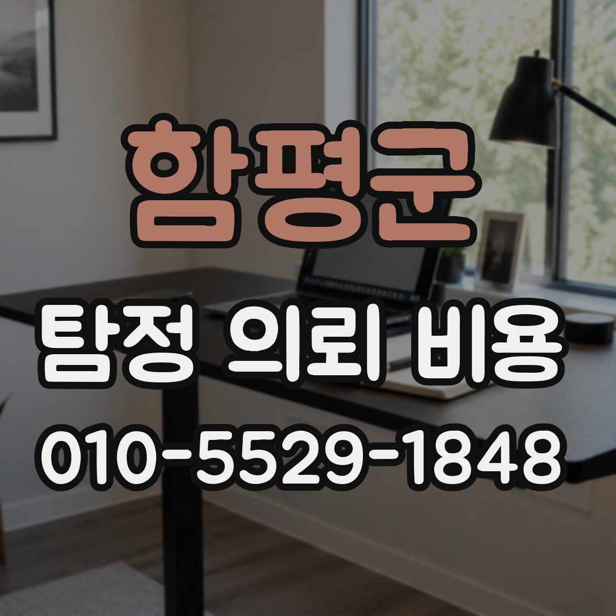 함평군 탐정 의뢰 비용