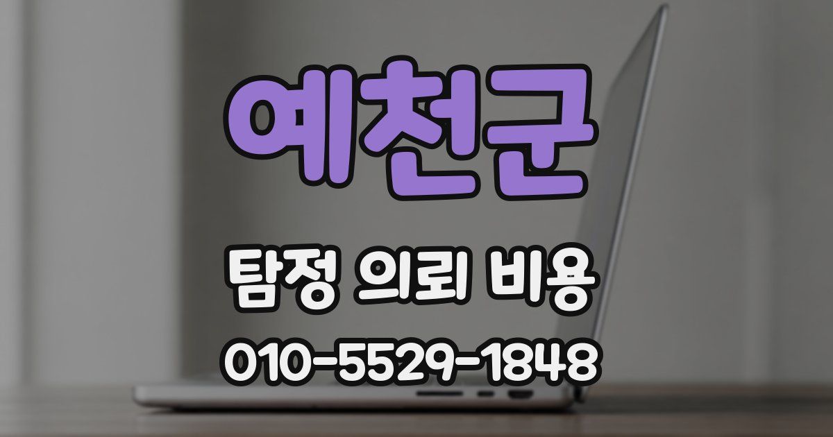 예천군 탐정 의뢰 비용
