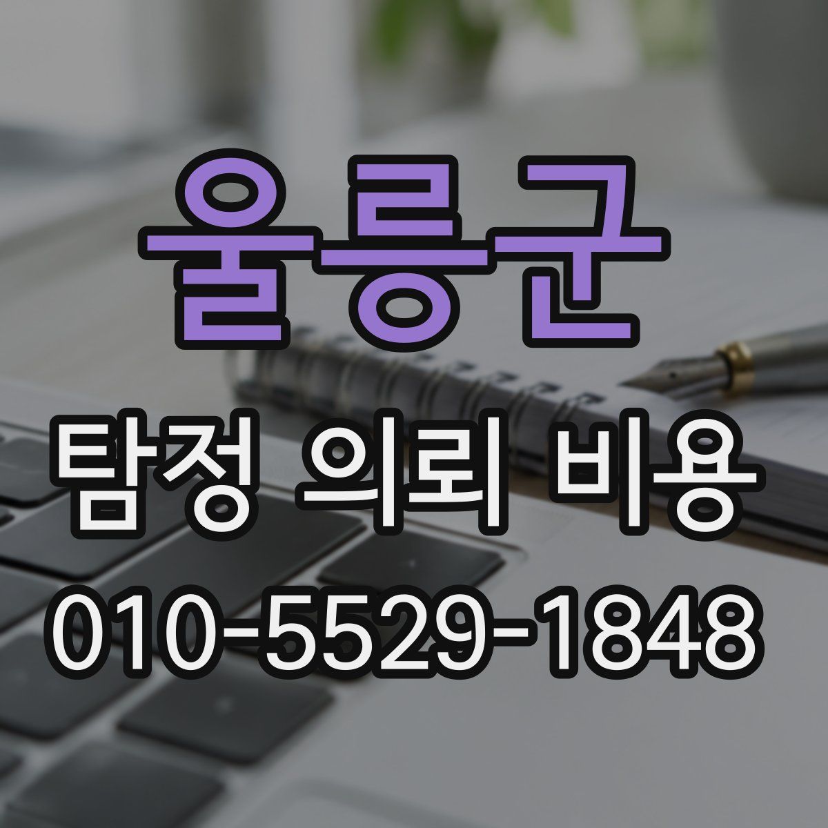 울릉군 탐정 의뢰 비용