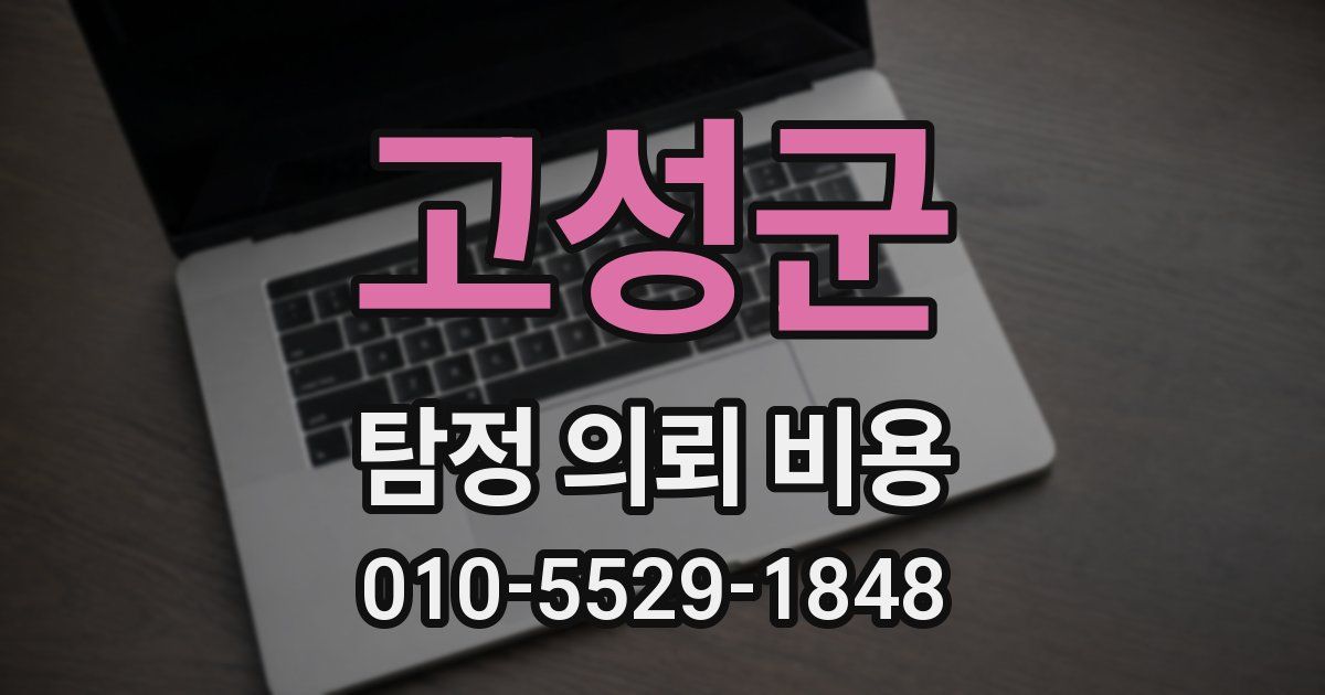고성군 탐정 의뢰 비용