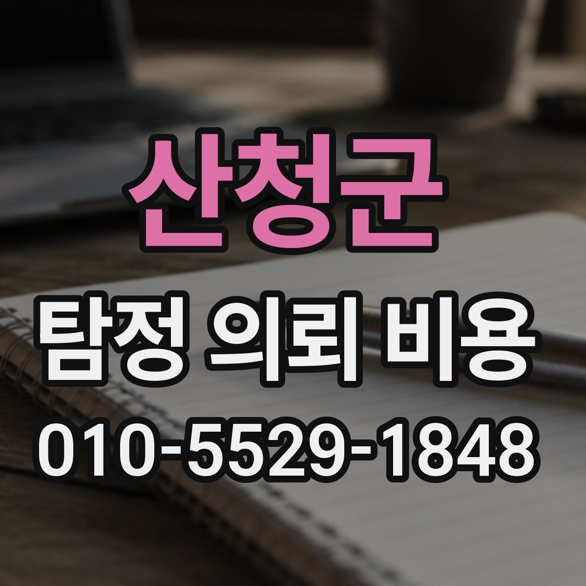 산청군 탐정 의뢰 비용