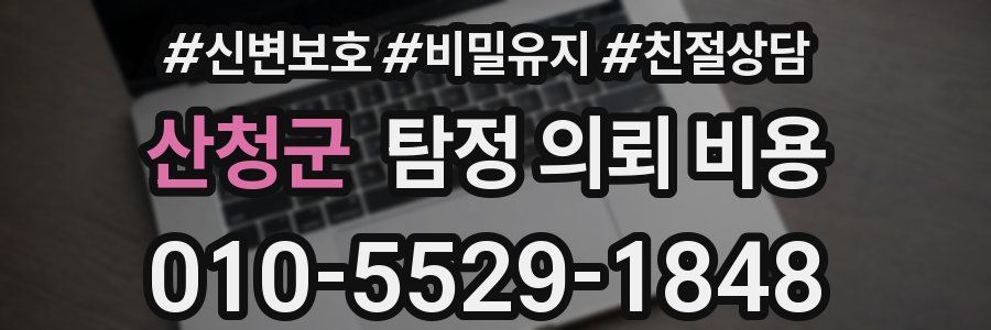 산청군 탐정 의뢰 비용