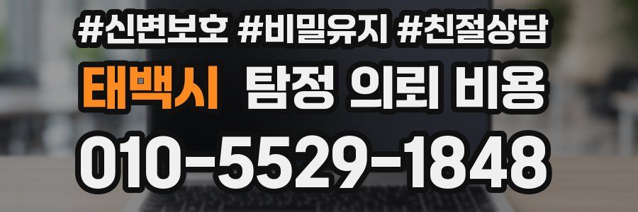 태백시 탐정 의뢰 비용