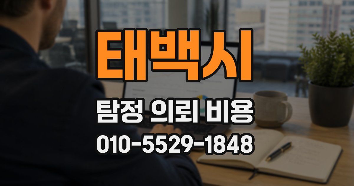 태백시 탐정 의뢰 비용