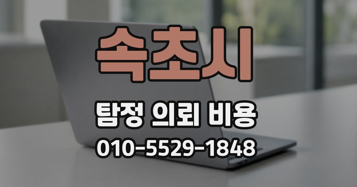 속초시 탐정 의뢰 비용