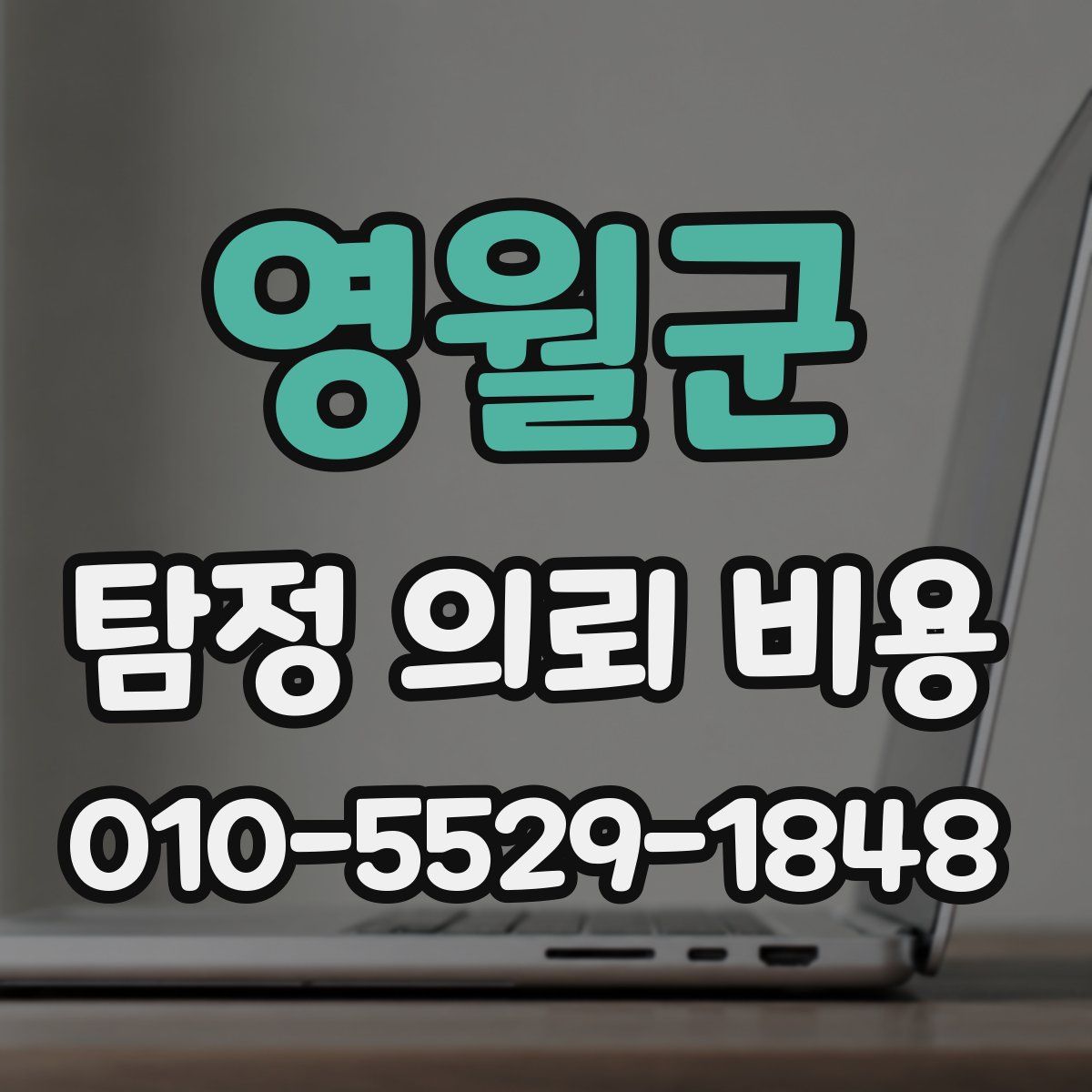 영월군 탐정 의뢰 비용