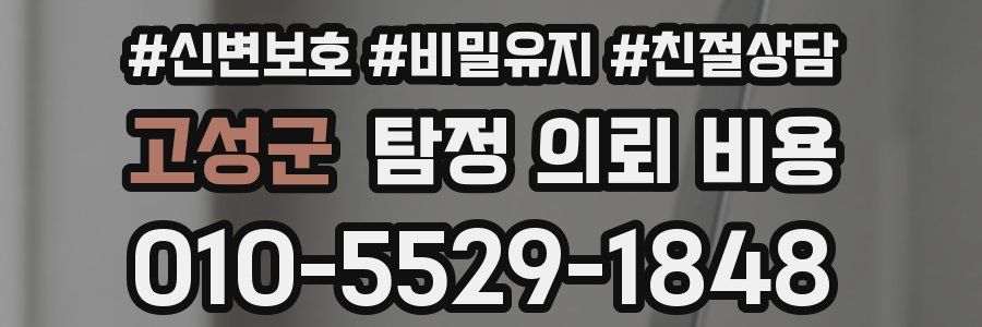 고성군 탐정 의뢰 비용