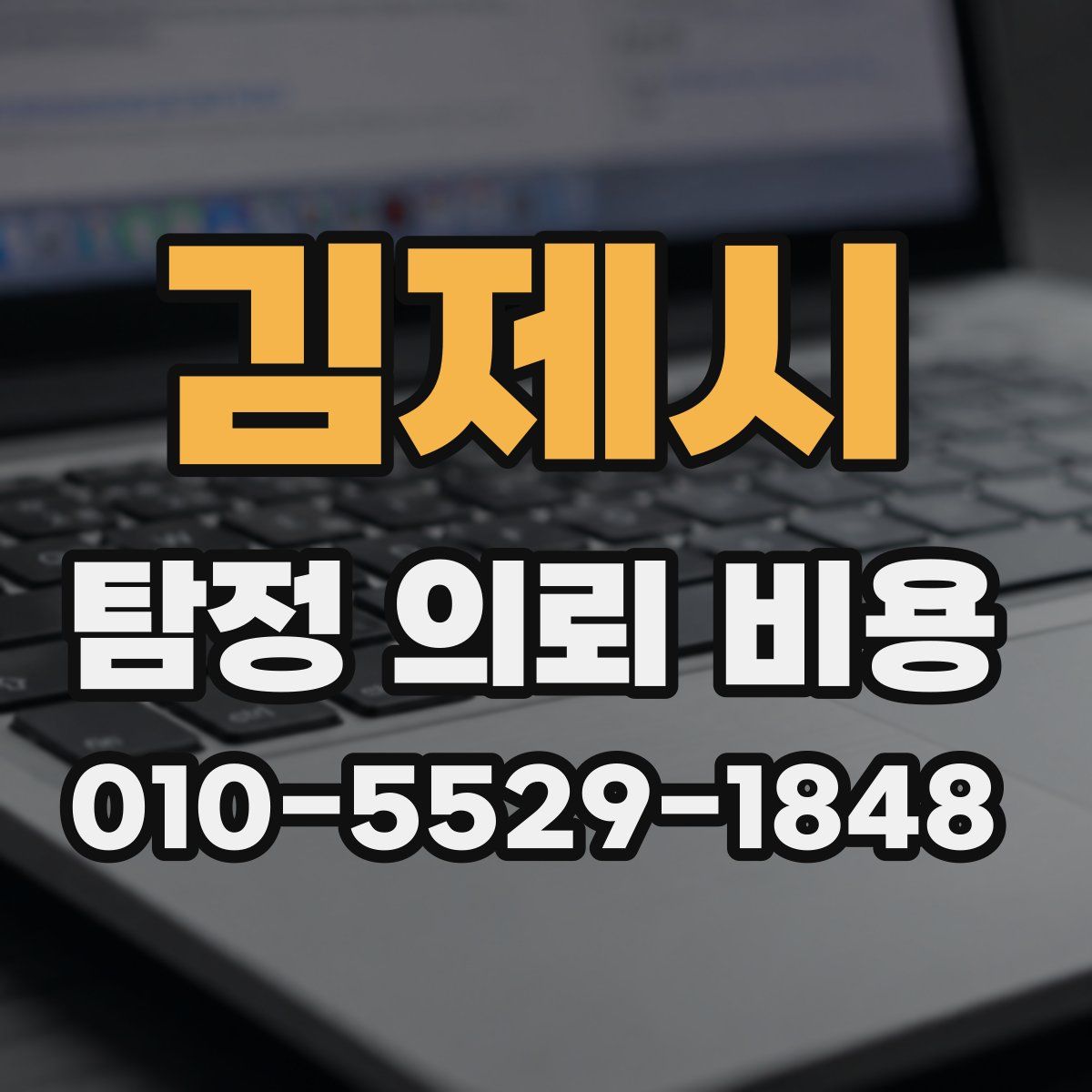 김제시 탐정 의뢰 비용