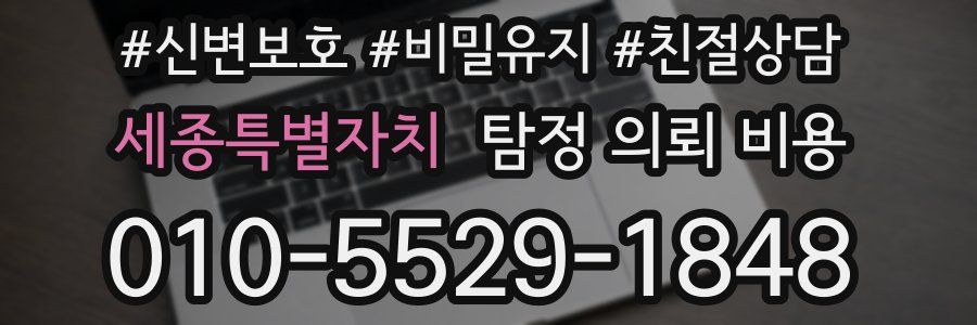 세종특별자치 탐정 의뢰 비용