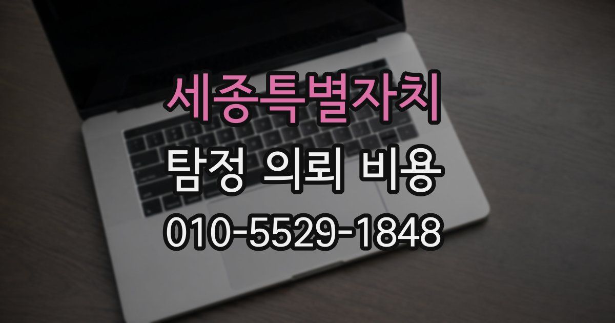 세종특별자치 탐정 의뢰 비용