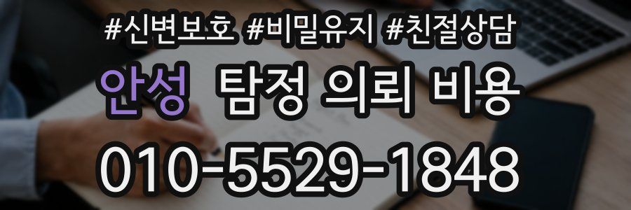 안성 탐정 의뢰 비용