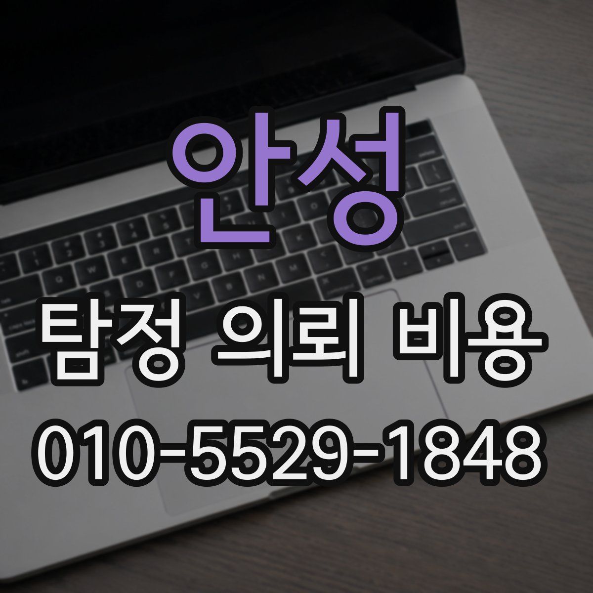안성 탐정 의뢰 비용