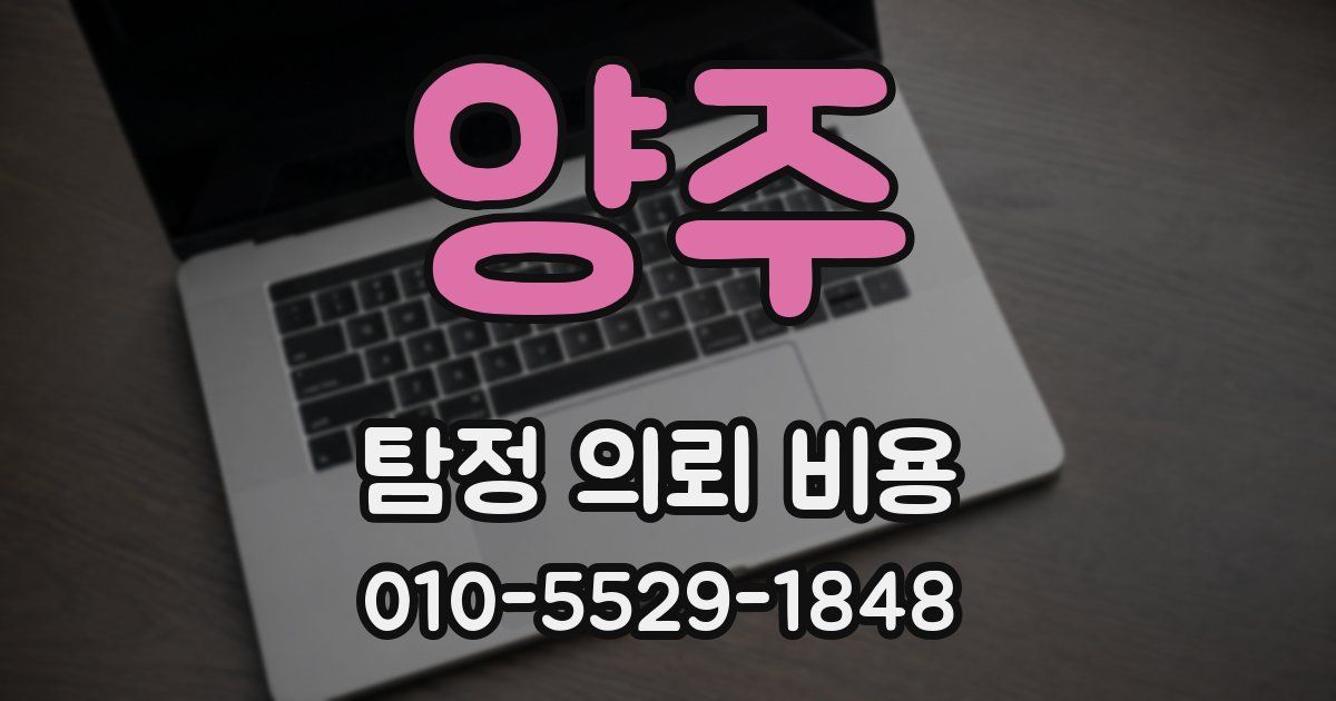 양주 탐정 의뢰 비용