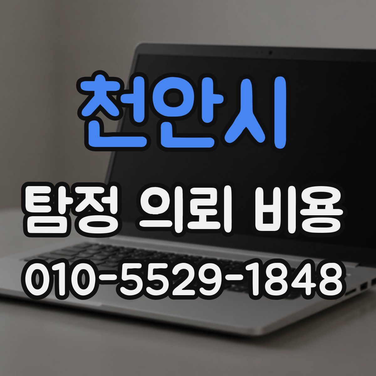 천안시 탐정 의뢰 비용