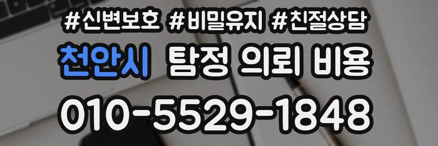 천안시 탐정 의뢰 비용