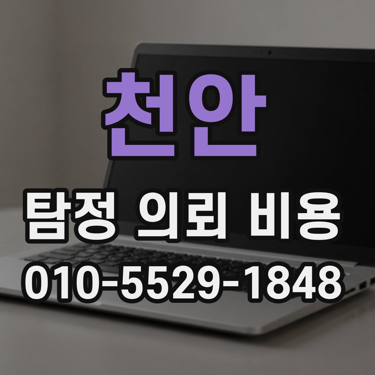 천안 탐정 의뢰 비용