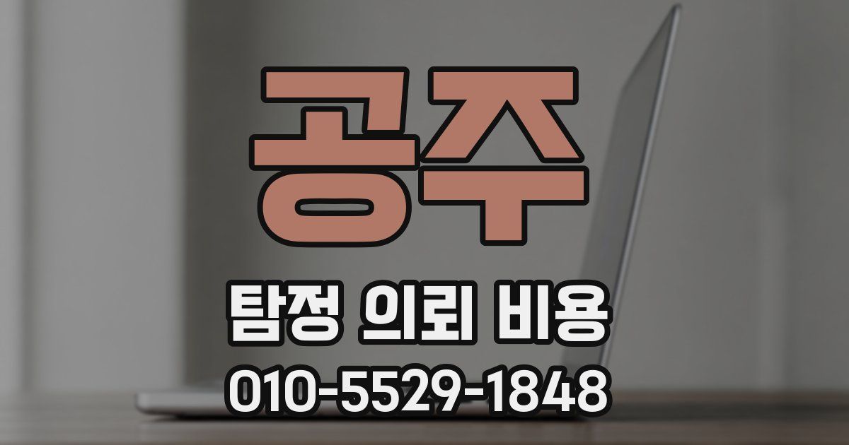 공주 탐정 의뢰 비용