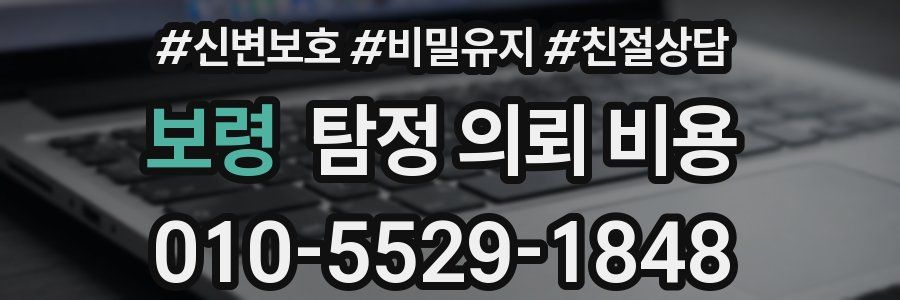 보령 탐정 의뢰 비용