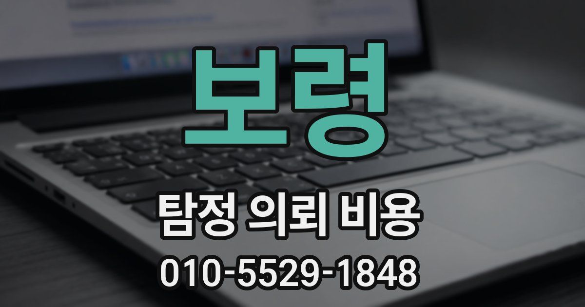 보령 탐정 의뢰 비용