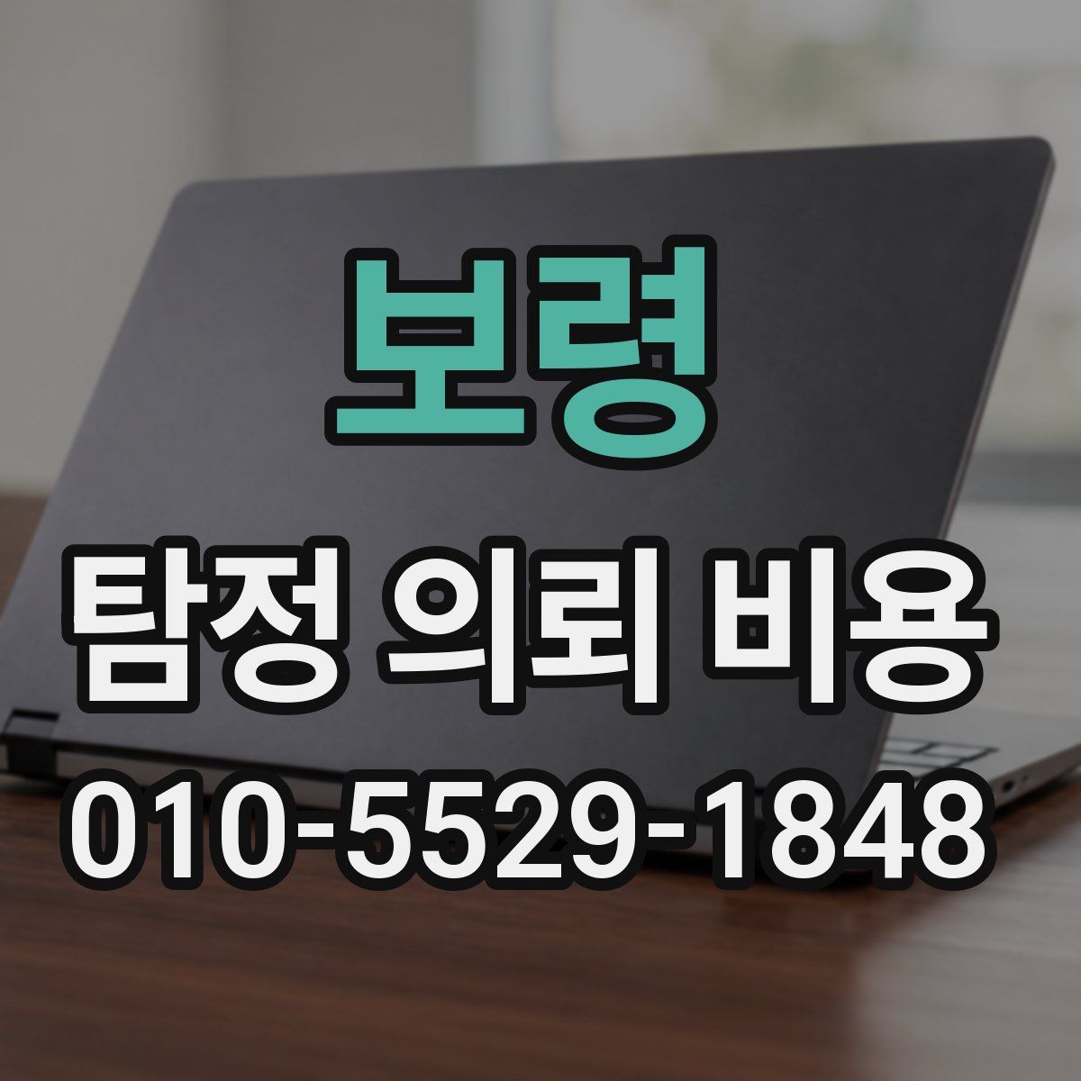 보령 탐정 의뢰 비용