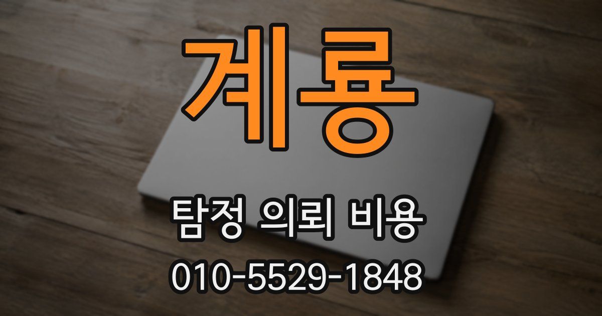 계룡 탐정 의뢰 비용