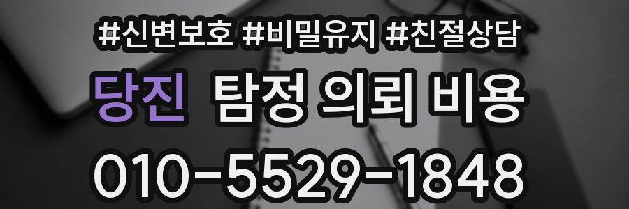 당진 탐정 의뢰 비용