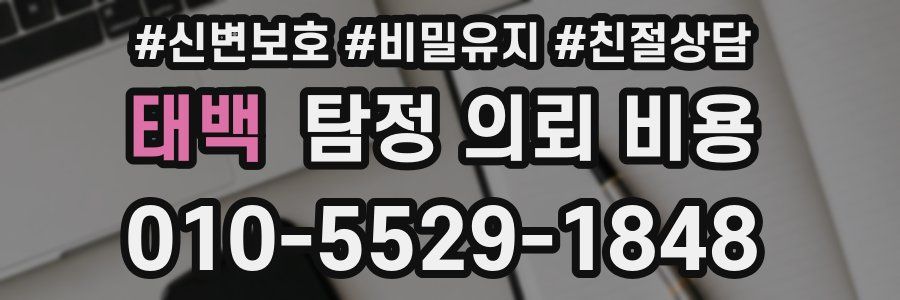태백 탐정 의뢰 비용
