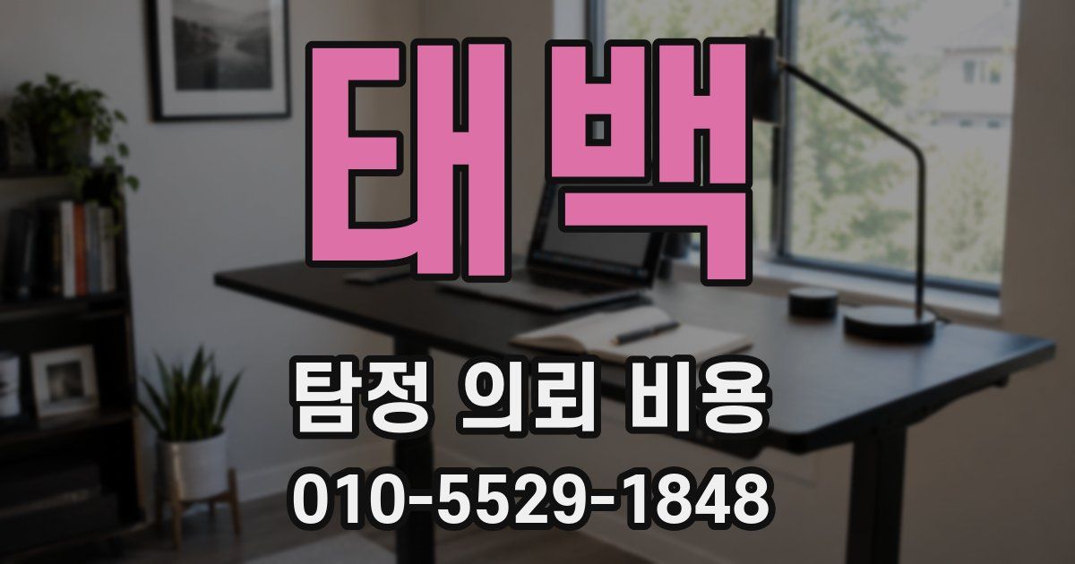태백 탐정 의뢰 비용